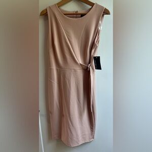 Enfocus Blush Pink Sleeveless Dress